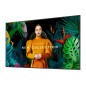 Samsung QBC Series QB85C 85 4K UHD (2160p)
